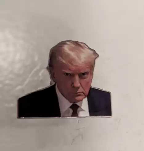 Donald Trump Mugshot Pin